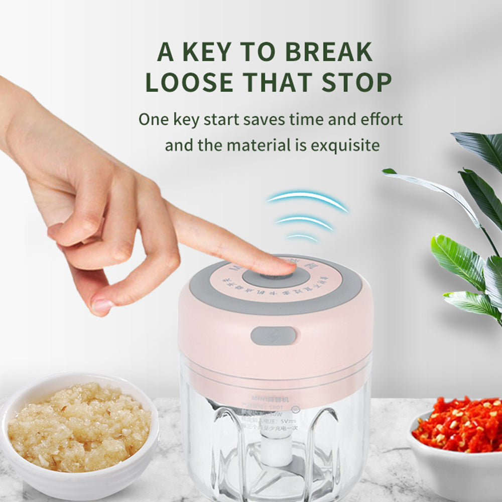 Electric Food Crusher