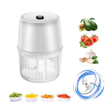 USB Garlic Chopper